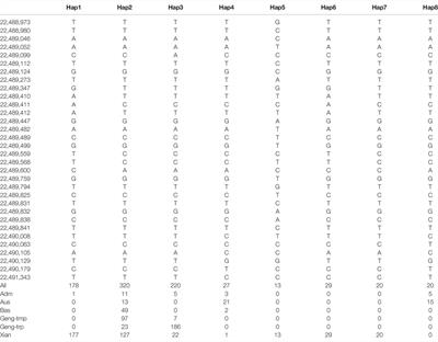 Systematic Analysis of NB-ARC Gene Family in Rice and Functional Characterization of GNP12